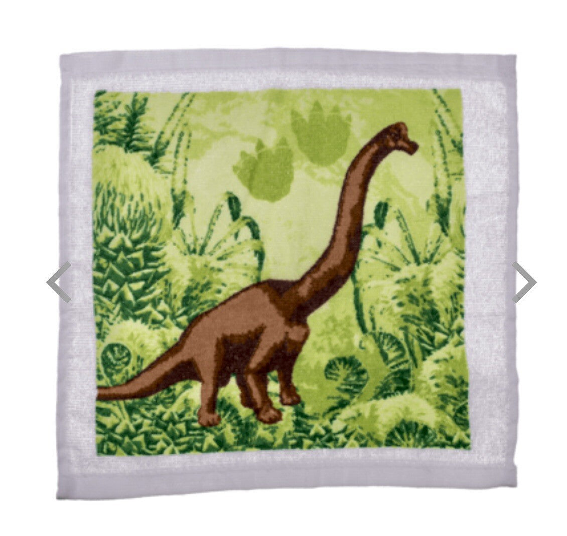 Xmas Dinosaur Magic flannel cloth Kids wash bath expanding shower towel T Rex
