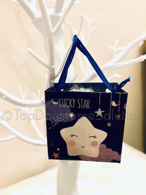 Star Christmas keepsake stone I THANK MY LUCKY STARS FOR YOU Decoration Bag Gift