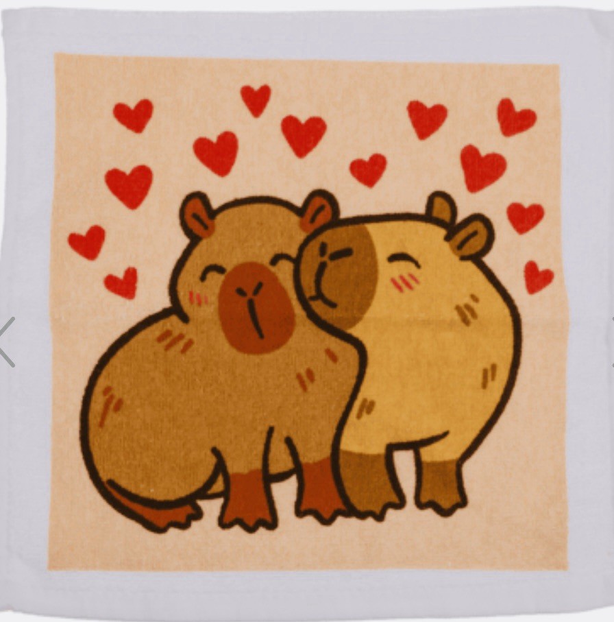 Xmas Capybara Magic Flannel Towel Kids Wash Cloth Bath Animal stocking filler