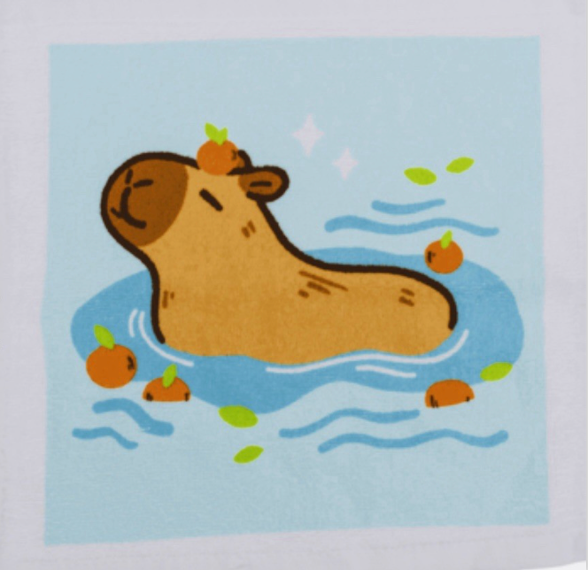 Xmas Capybara Magic Flannel Towel Kids Wash Cloth Bath Animal stocking filler