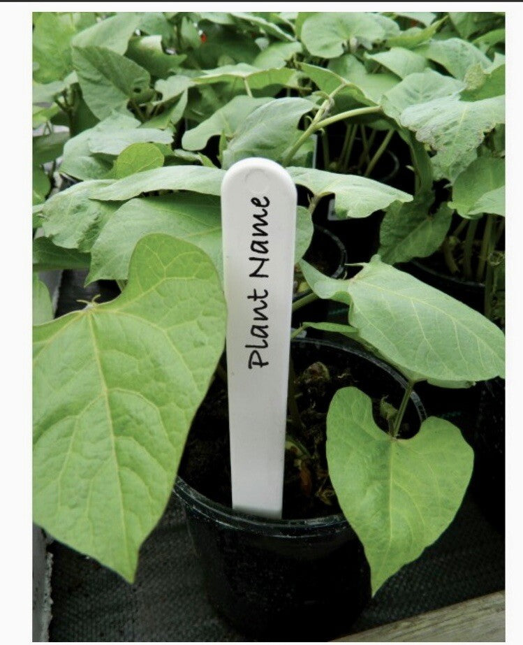 Plant labels 4" 10cm White Plastic Pot 50 Pack With Pencil seeds planting veg