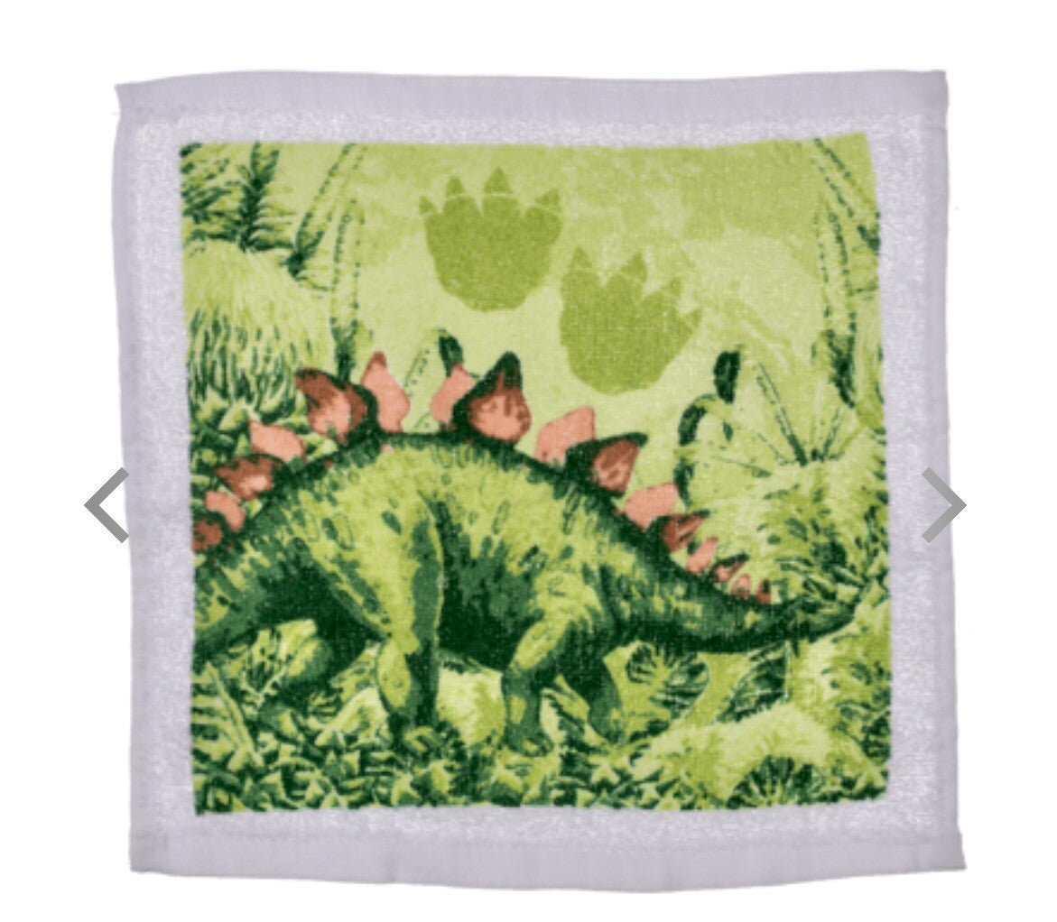 Xmas Dinosaur Magic flannel cloth Kids wash bath expanding shower towel T Rex