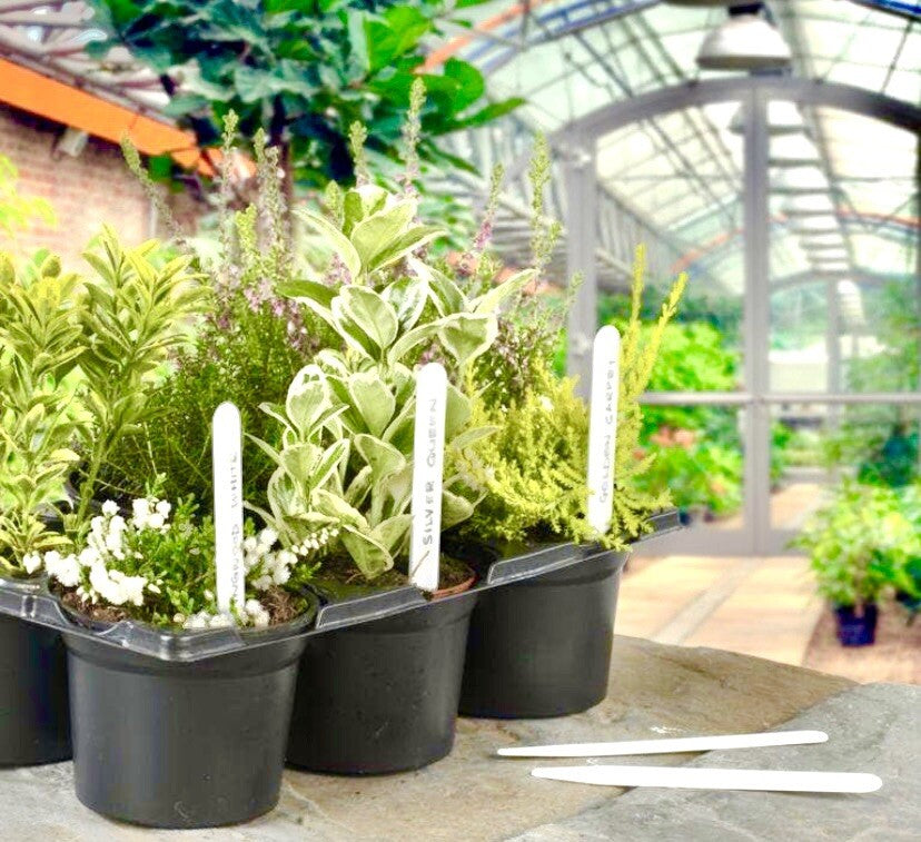 Plant labels 4" 10cm White Plastic Pot 50 Pack With Pencil seeds planting veg