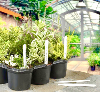Plant labels 4" 10cm White Plastic Pot 50 Pack With Pencil seeds planting veg