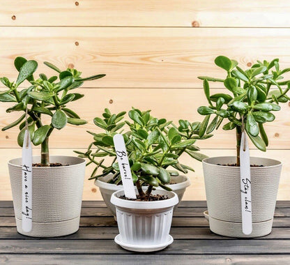 Plant labels 4" 10cm White Plastic Pot 50 Pack With Pencil seeds planting veg