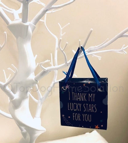 Star Christmas keepsake stone I THANK MY LUCKY STARS FOR YOU Decoration Bag Gift