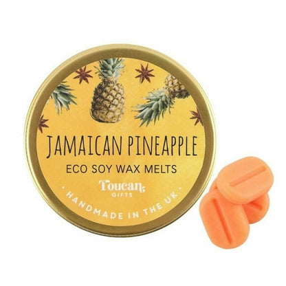 Christmas soya Wax Melts Tin candle Mini Fragrance chocolate Mince spice Trees