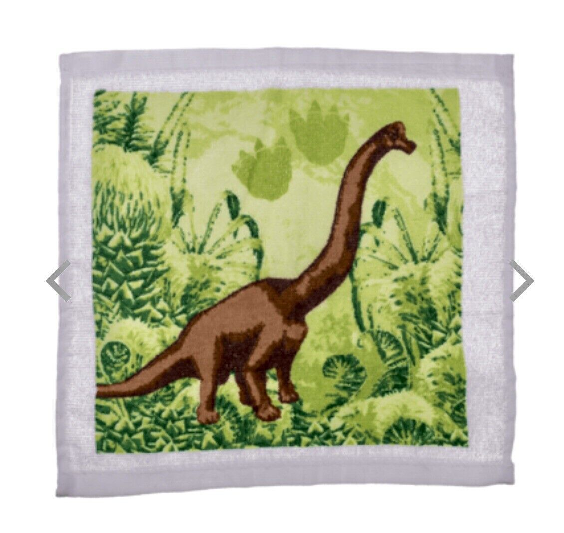 Xmas Dinosaur Magic flannel cloth Kids wash bath expanding shower towel T Rex