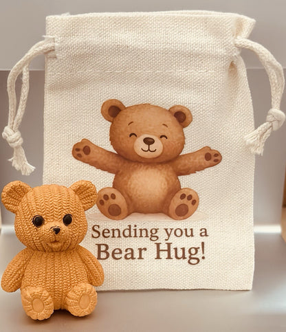 Pocket Bear Hug Teddy Worry Anxiety Gift Bag Love Good Luck Birthday positivity
