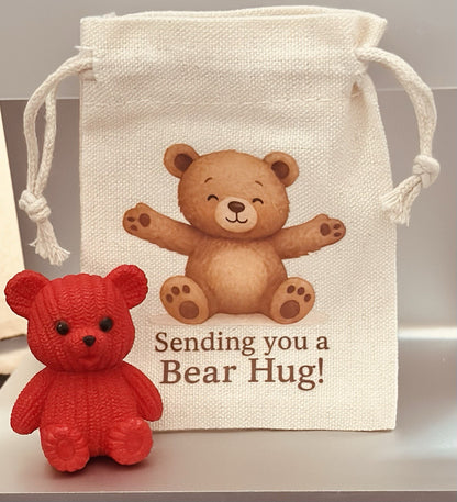 Pocket Bear Hug Teddy Worry Anxiety Gift Bag Love Good Luck Birthday positivity