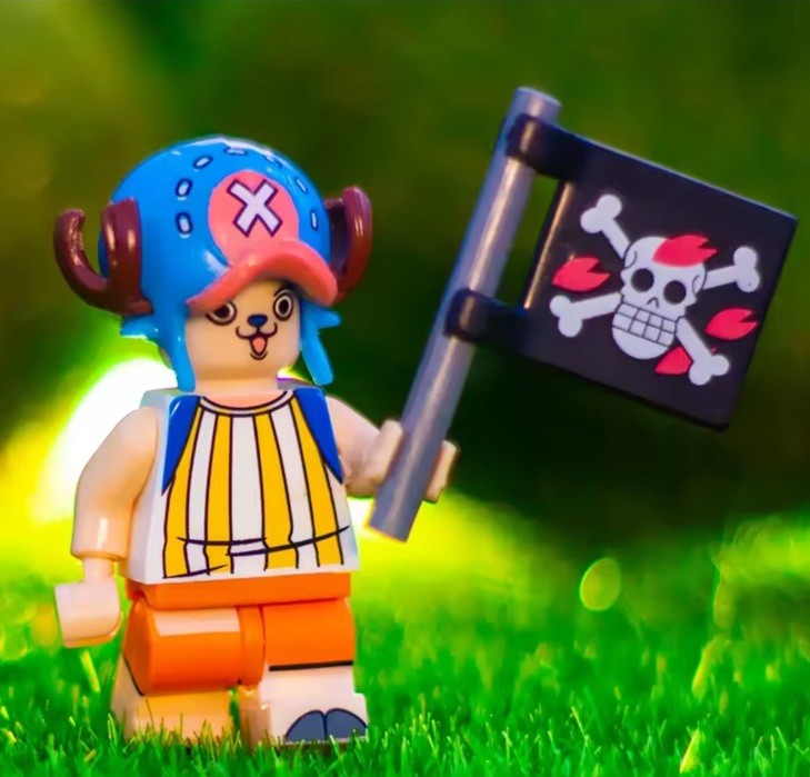One Piece Luffy Ace Nami Sanji Broke Robin Franky 15 Pcs Minifigures Toy Brick