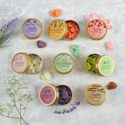 Christmas soya Wax Melts Tin candle Mini Fragrance chocolate Mince spice Trees