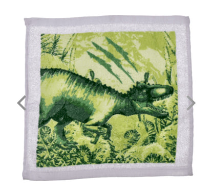 Xmas Dinosaur Magic flannel cloth Kids wash bath expanding shower towel T Rex