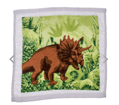 Xmas Dinosaur Magic flannel cloth Kids wash bath expanding shower towel T Rex
