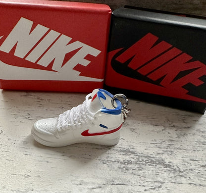 Nike Mini Jordan 3D Trainer sneaker Keyring Blue Red White Lace shoe Gift Box