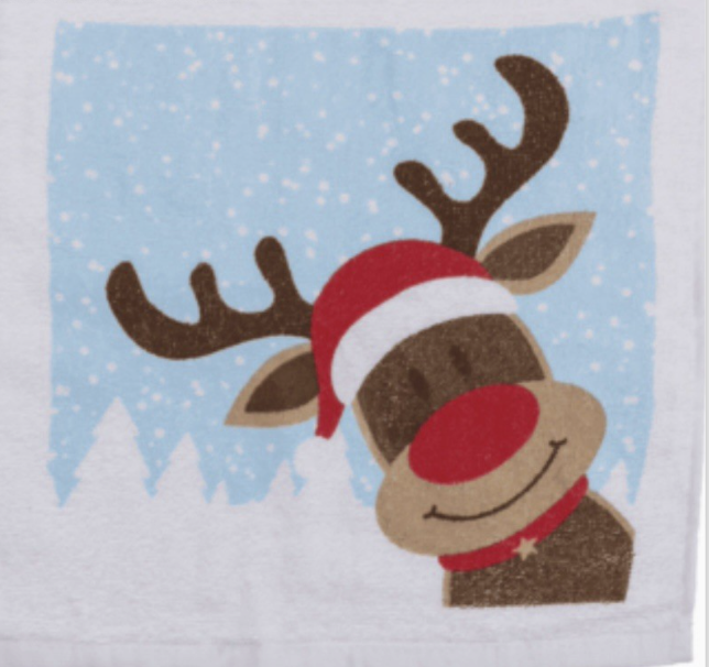Christmas Magic Flannel Face Santa Rudolph Towel cloth Kids Bath Wash Xmas