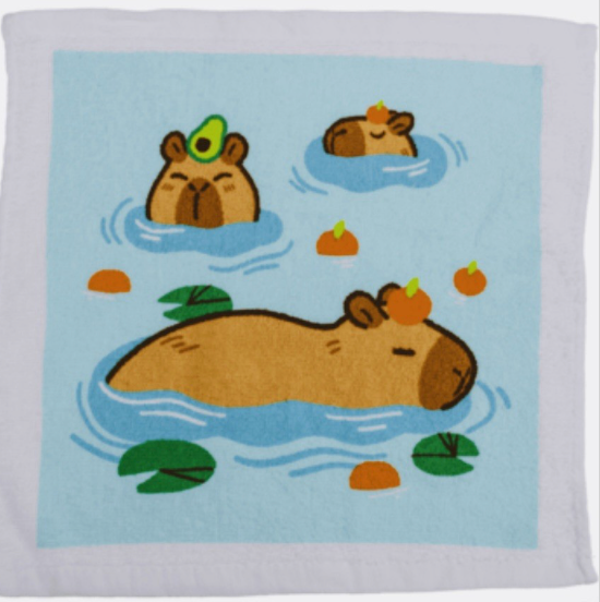 Xmas Capybara Magic Flannel Towel Kids Wash Cloth Bath Animal stocking filler