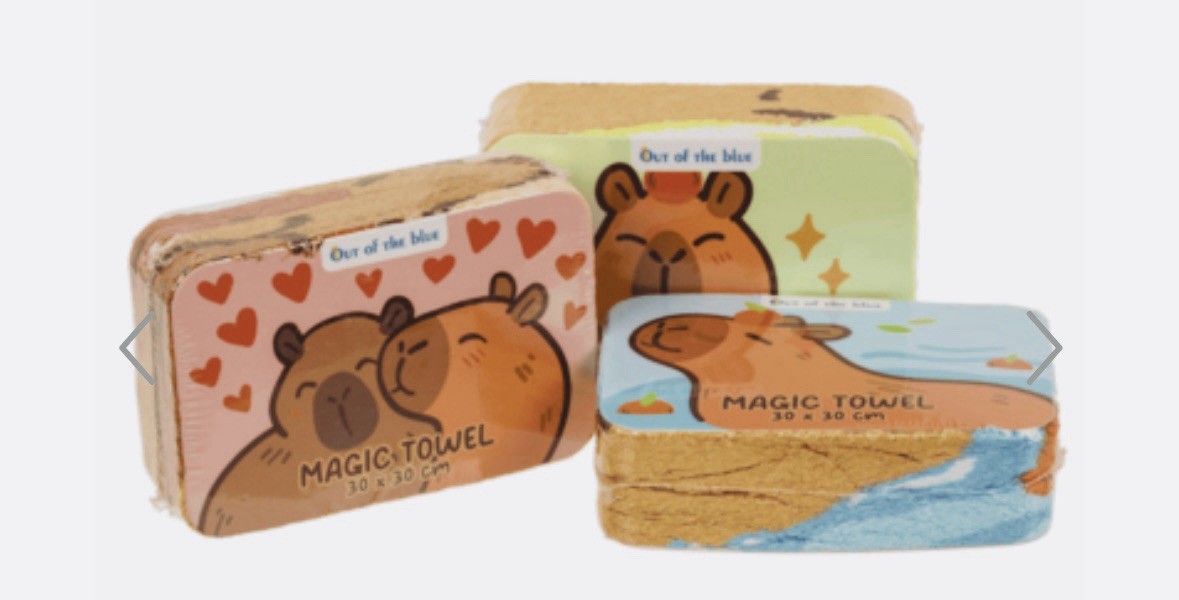 Xmas Capybara Magic Flannel Towel Kids Wash Cloth Bath Animal stocking filler