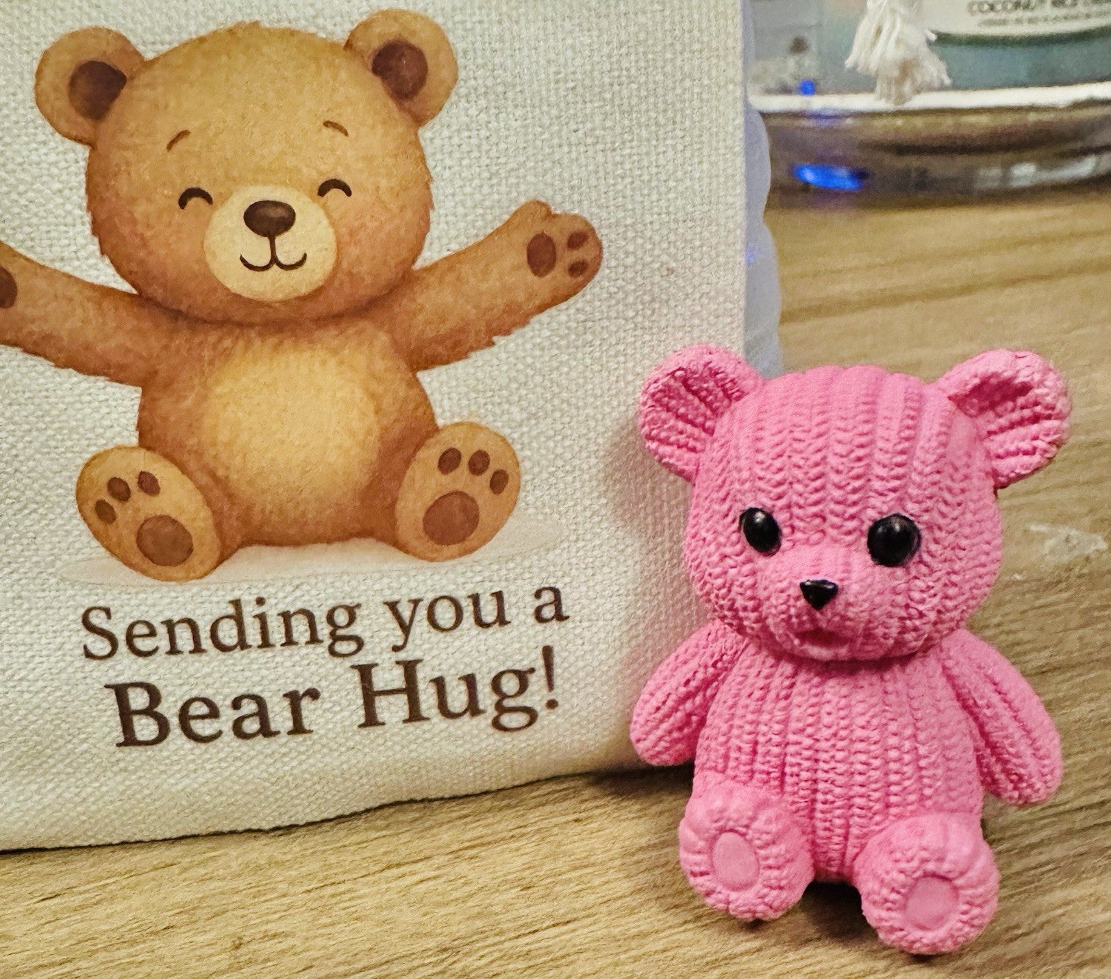Pocket Bear Hug Teddy Worry Anxiety Gift Bag Love Good Luck Birthday positivity