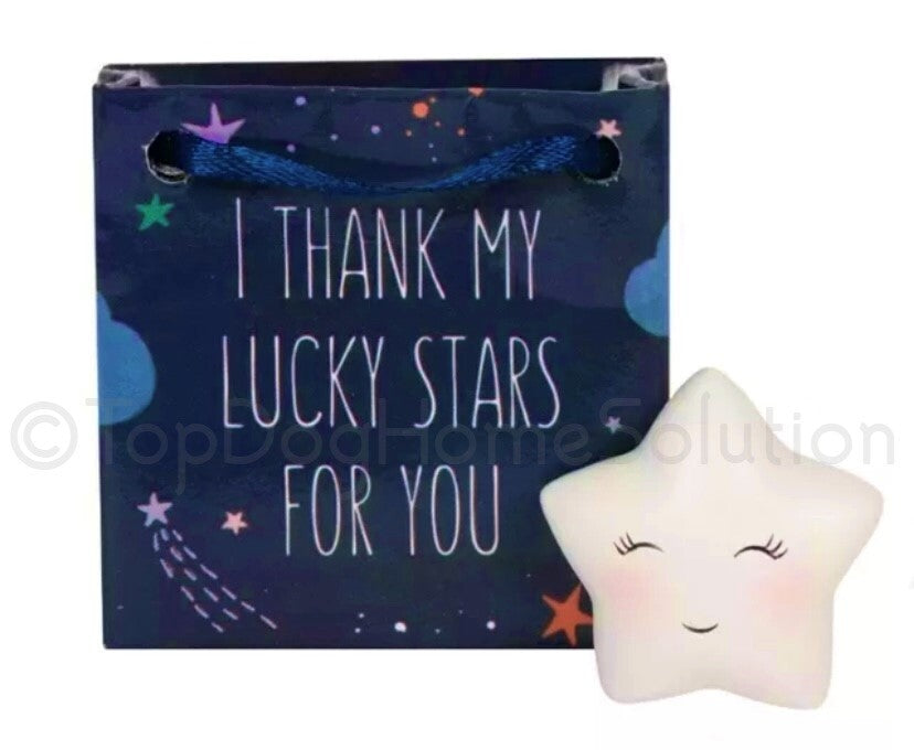 Star Christmas keepsake stone I THANK MY LUCKY STARS FOR YOU Decoration Bag Gift
